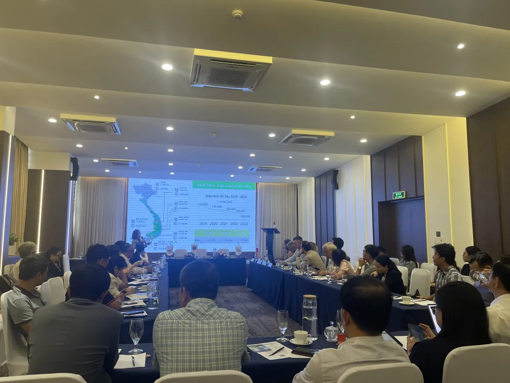 Lợi nhuận hồ tiêu thua gấp 20 lần so với sầu riêng Lợi nhuận hồ tiêu thua gấp 20 lần so với sầu riêng