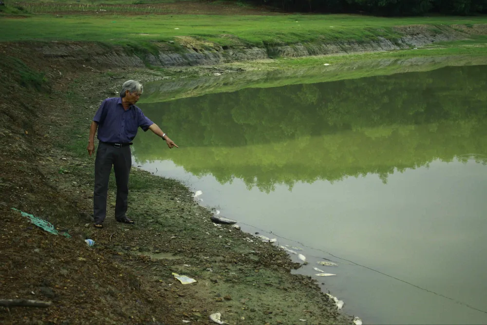 Đang kiểm tra nguyên nhân cá chết tại đập Hố Chuối ảnh 2