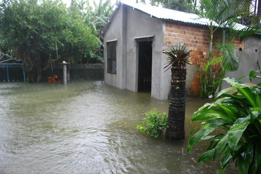 Quảng Ngãi: Hàng trăm nhà dân bị ngập, đã có 2 người chết ảnh 5