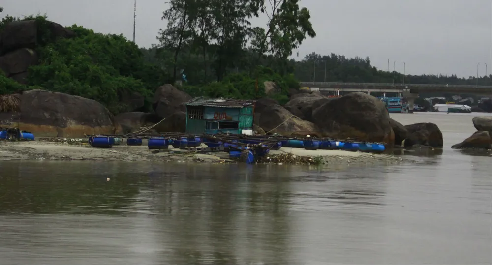  Ngư dân khóc ròng vì không ai mua cá “chạy lũ” ảnh 2