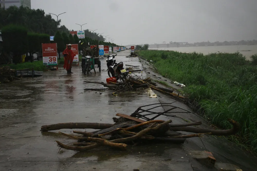 Người dân Quảng Ngãi liều mình vớt củi giữa dòng nước lũ ảnh 6