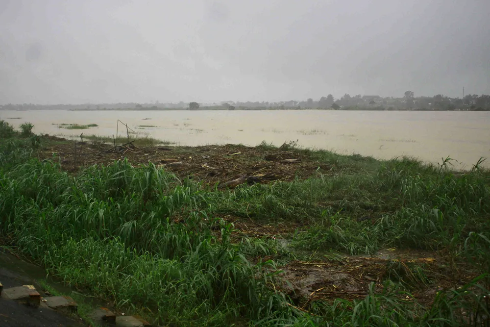 Người dân Quảng Ngãi liều mình vớt củi giữa dòng nước lũ ảnh 1