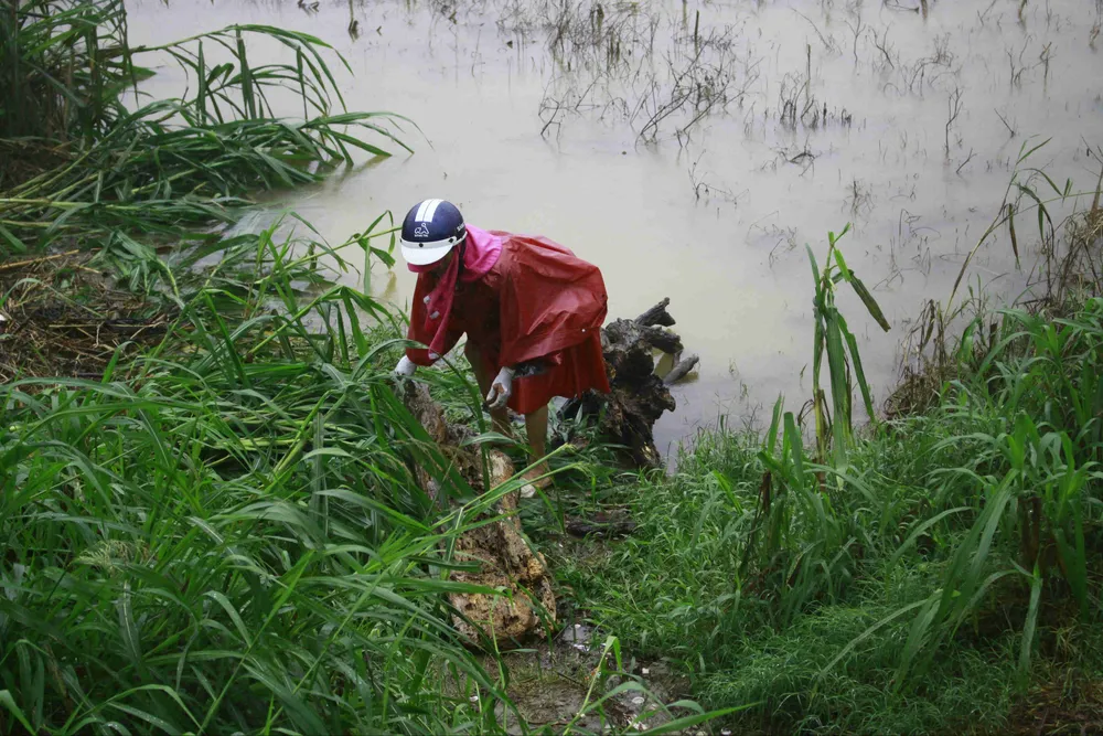 Người dân Quảng Ngãi liều mình vớt củi giữa dòng nước lũ ảnh 2
