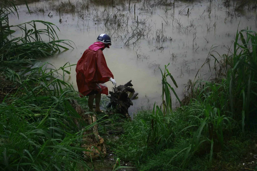 Người dân Quảng Ngãi liều mình vớt củi giữa dòng nước lũ ảnh 3