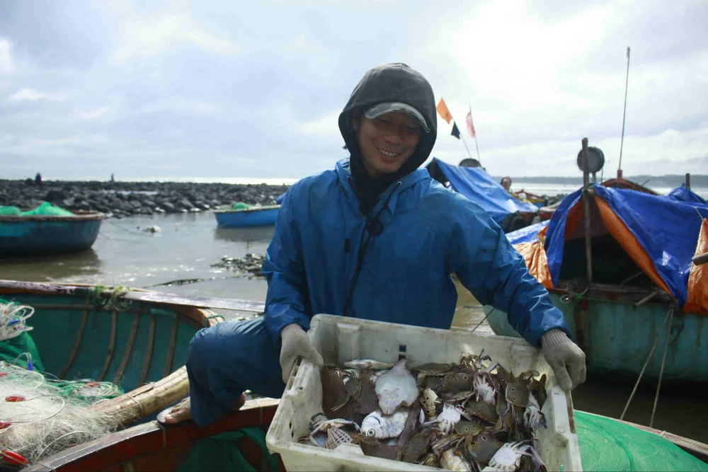  Cá lưỡi trâu, cua mặt trăng được mùa ảnh 5