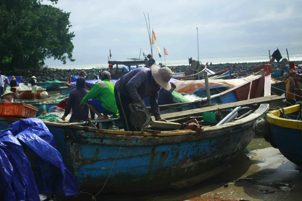  Cá lưỡi trâu, cua mặt trăng được mùa ảnh 7