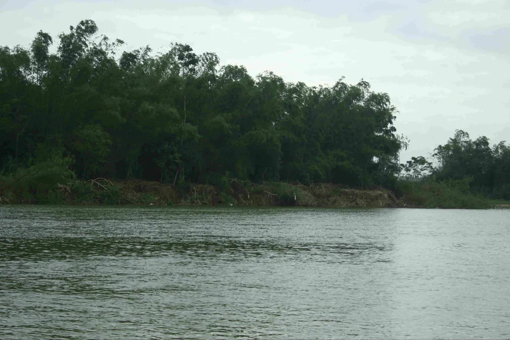 Sông Trà Bồng sạt lở nghiêm trọng đe dọa hàng trăm hộ dân ảnh 2