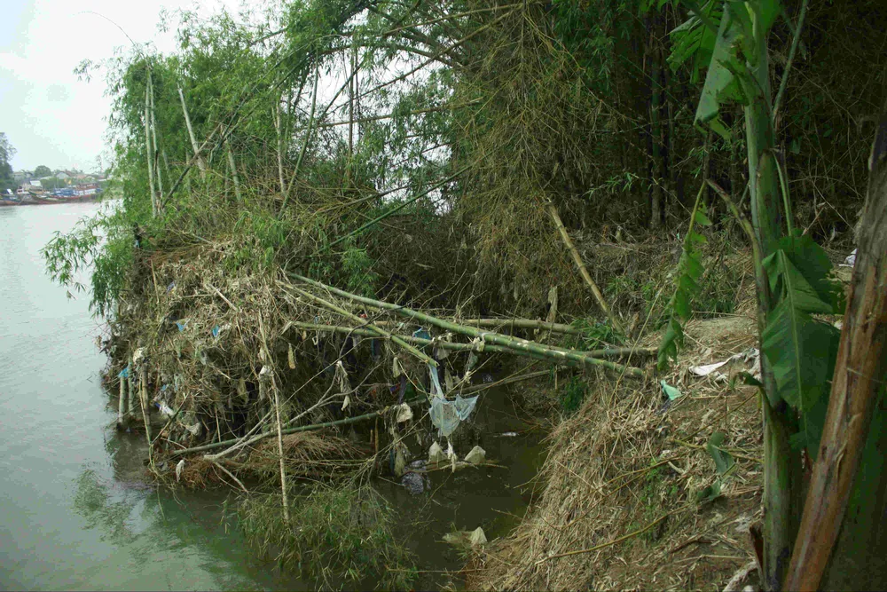 Sông Trà Bồng sạt lở nghiêm trọng đe dọa hàng trăm hộ dân ảnh 7