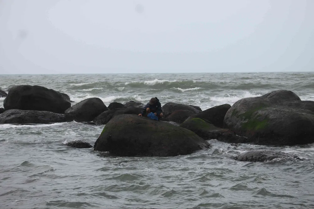 Chênh vênh trên đá khai thác rau mứt biển ảnh 4