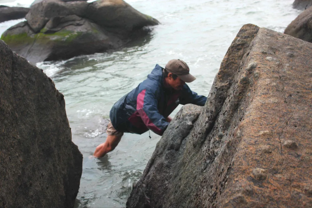 Chênh vênh trên đá khai thác rau mứt biển ảnh 2