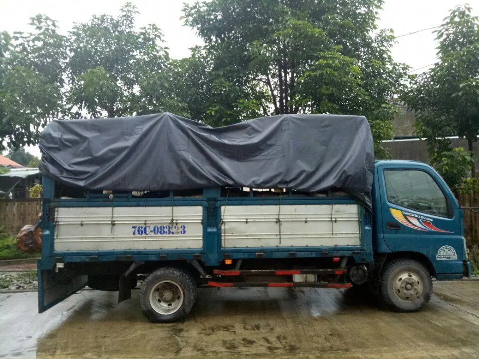 Phát hiện lượng lớn gỗ gõ ngụy trang dưới bao phân chim  ảnh 2