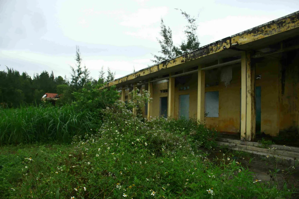 Quảng Ngãi: Khu tái định cư 11 tỷ đồng bỏ hoang 20 năm ảnh 5