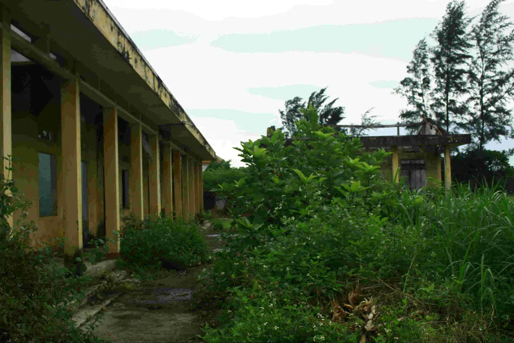 Quảng Ngãi: Khu tái định cư 11 tỷ đồng bỏ hoang 20 năm ảnh 6