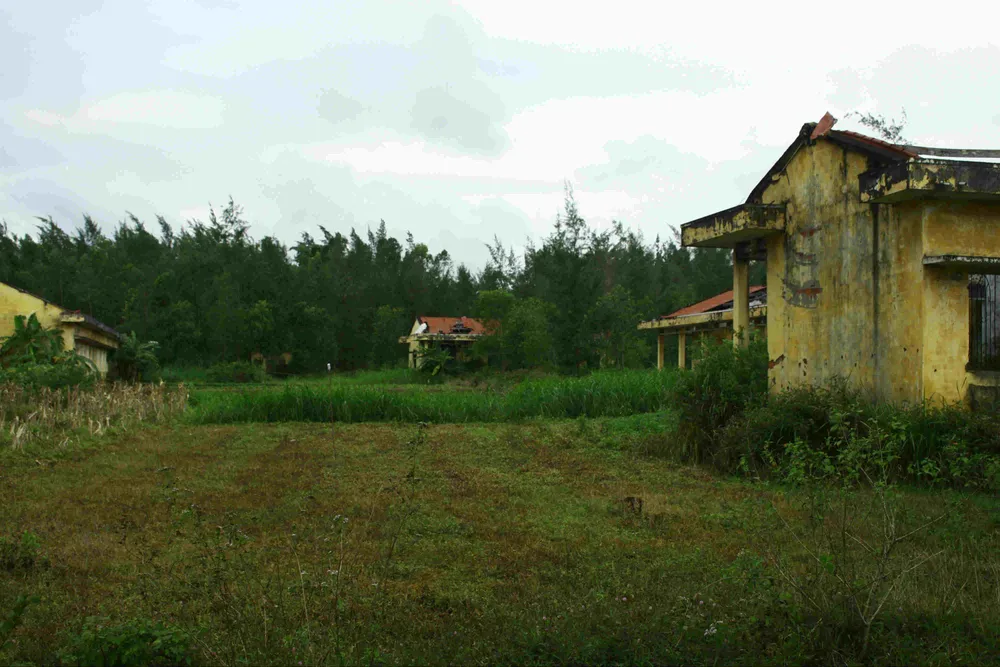 Quảng Ngãi: Khu tái định cư 11 tỷ đồng bỏ hoang 20 năm ảnh 1