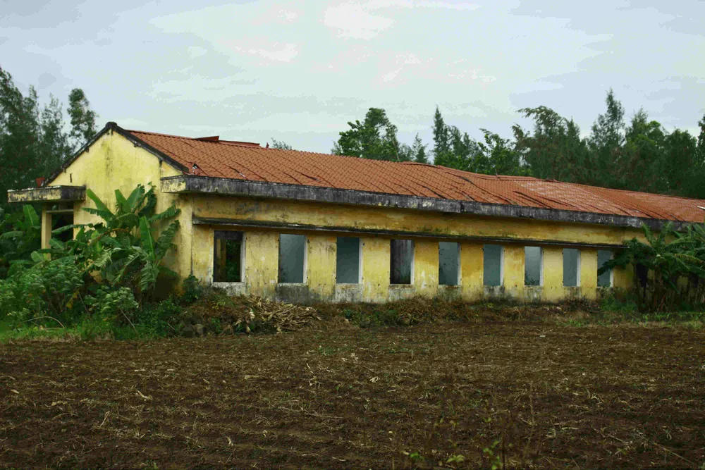 Quảng Ngãi: Khu tái định cư 11 tỷ đồng bỏ hoang 20 năm ảnh 2