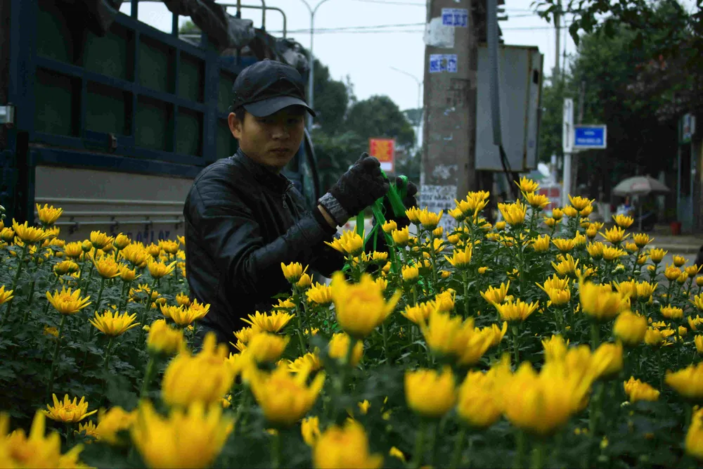 Quảng Ngãi: Hoa tết xuống phố ảnh 6