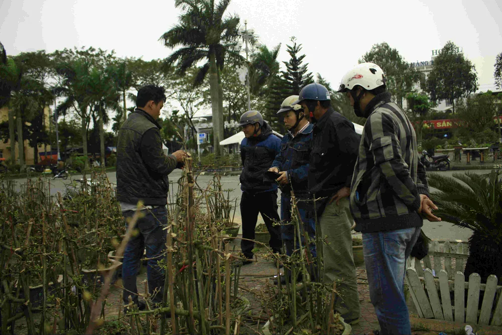 Quảng Ngãi: Hoa tết xuống phố ảnh 2