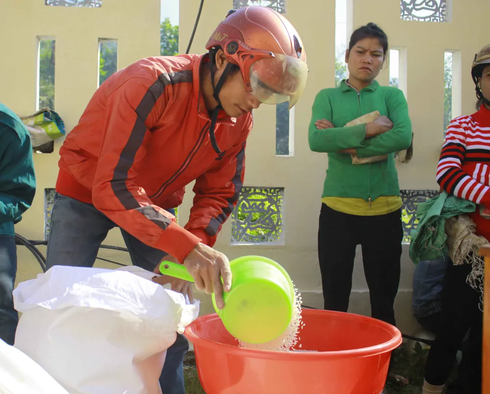 Tuổi trẻ Quảng Ngãi mang xuân đến vùng cao Sơn Tây ảnh 11