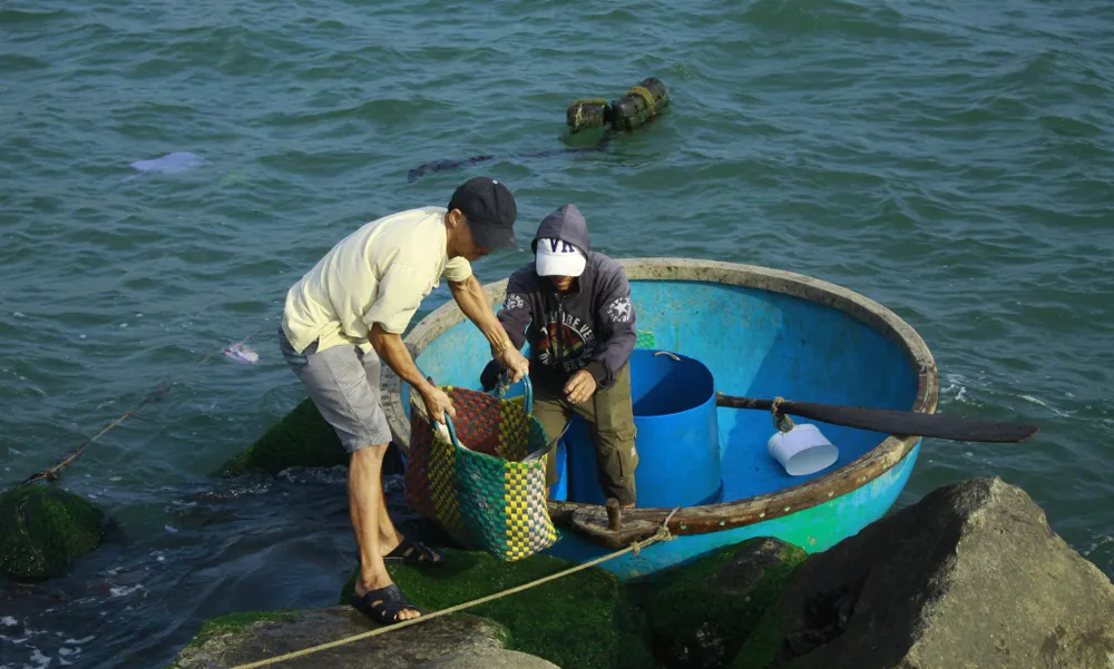 Cá 1 triệu đồng một con, người nuôi lãi lớn ảnh 3