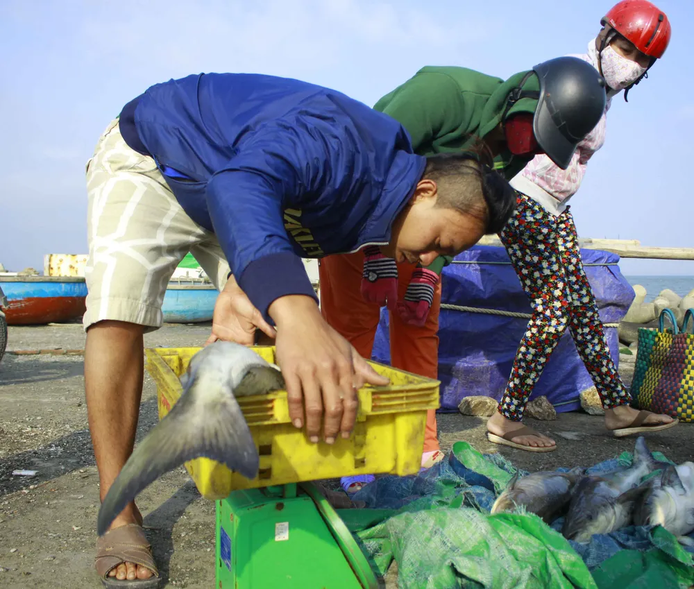 Cá 1 triệu đồng một con, người nuôi lãi lớn ảnh 1