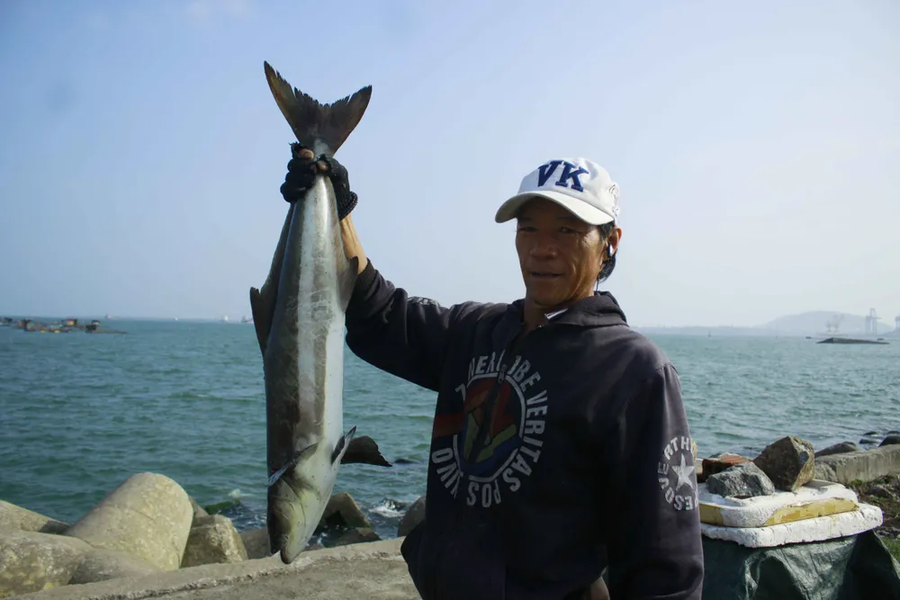 Cá 1 triệu đồng một con, người nuôi lãi lớn ảnh 6