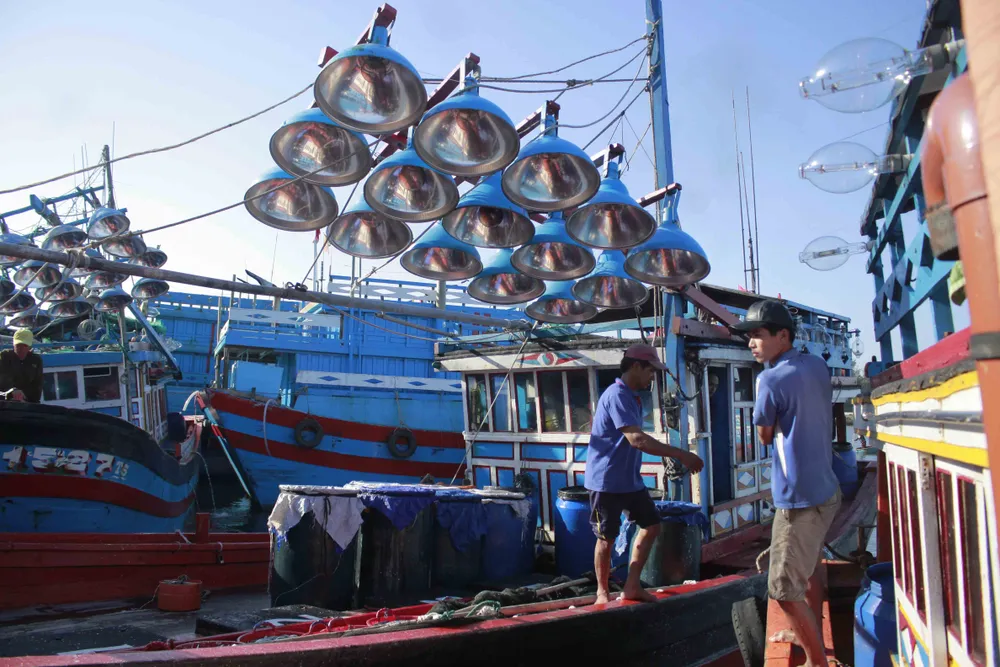 Ra khơi đầu năm, "lộc biển" là hàng chục tấn cá cơm ảnh 2