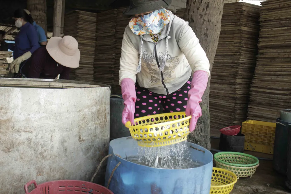 Quảng Ngãi: Mùa phơi cá khô ảnh 2