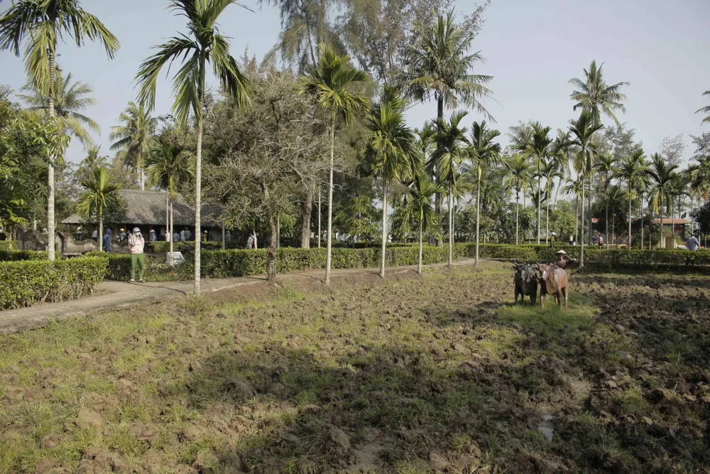 Lễ tưởng niệm 50 năm Ngày 504 thường dân Sơn Mỹ bị thảm sát ảnh 6