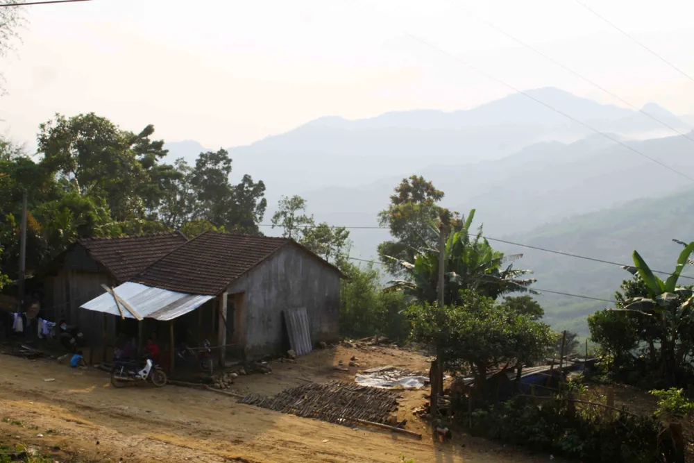 Mùa hái chè Trà Nham ở độ cao hơn 1.200m ảnh 1