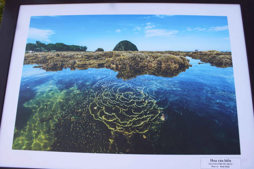 Khai mạc liên hoan ảnh nghệ thuật khu vực Nam Trung Bộ và Tây Nguyên lần thứ 23 ảnh 3