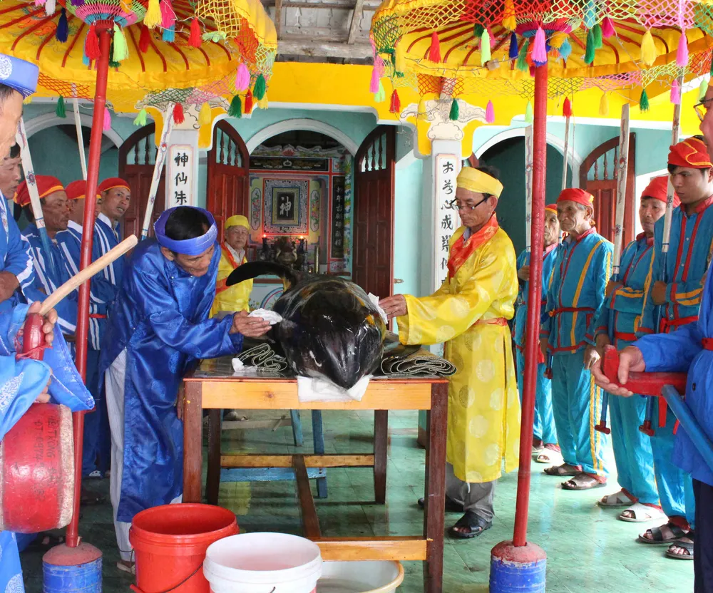 Quảng Ngãi: Cá voi dài 3m dạt vào bờ ảnh 2