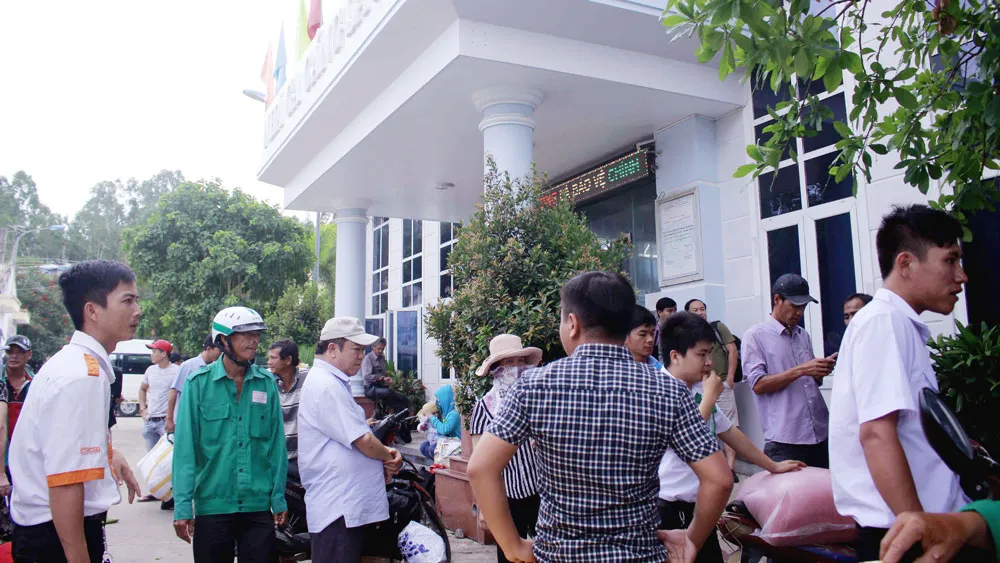 Sáng nay, 13 tàu cao tốc đưa hơn 2.000 du khách kẹt ở đảo Lý Sơn về bờ ảnh 1