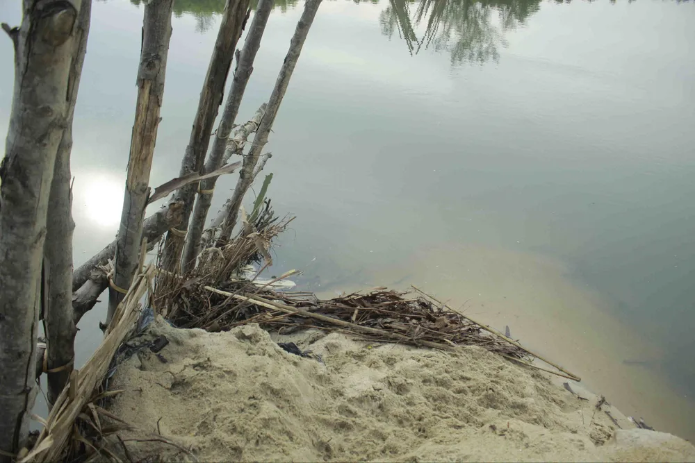 Vỡ đập ngăn mặn trên sông Trà Bồng ảnh 3