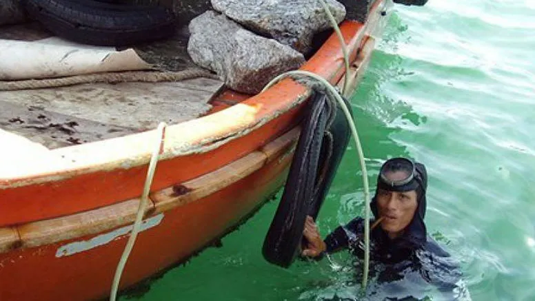 Hải sâm nuôi thử nghiệm tại đầm nước mặn đang phát triển tốt ảnh 2