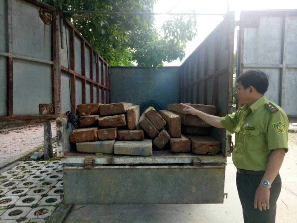 Chở gỗ lậu, tài xế để lại xe bỏ trốn ảnh 1