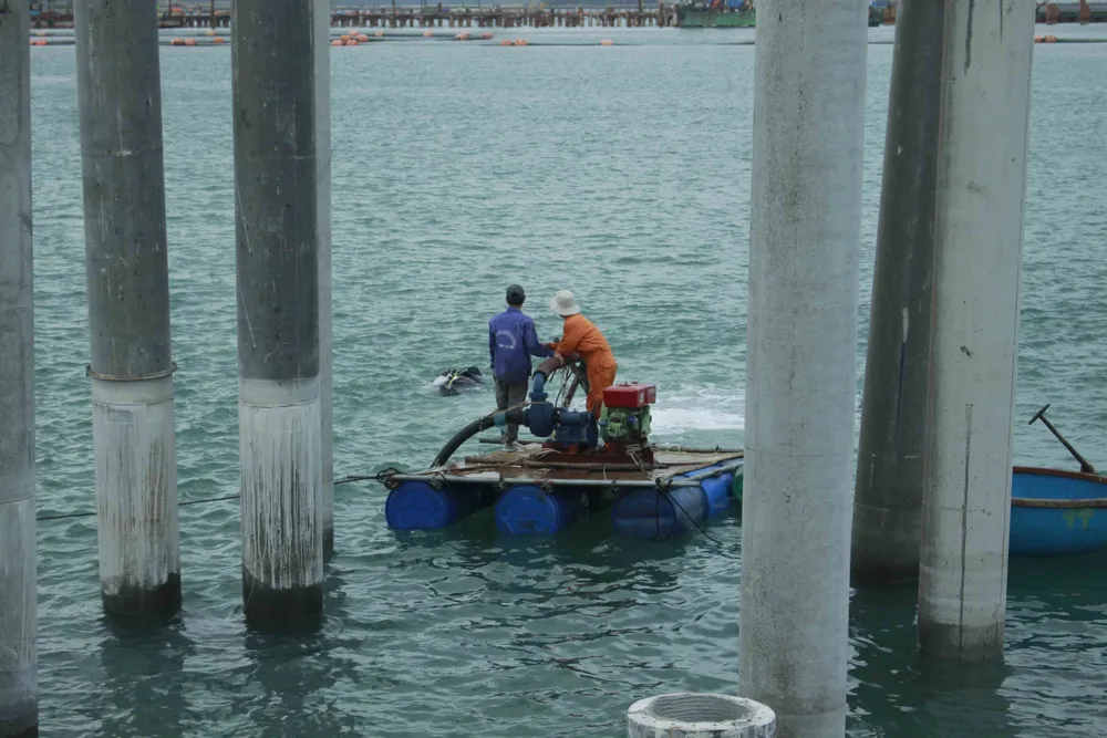 Khởi công công trình khai quật tàu cổ Dung Quất tại Quảng Ngãi ảnh 6