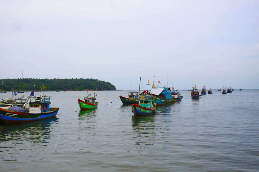 Giải đáp nhiều thắc mắc của ngư dân về chống khai thác IUU và hoạt động nghề cá ảnh 2