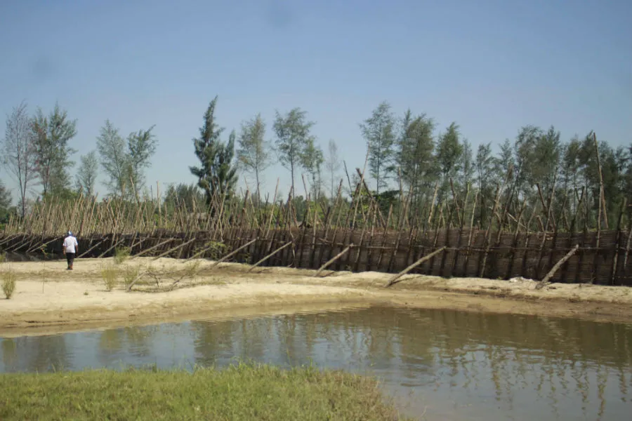 Quảng Ngãi: Nhiều hợp tác xã sai phạm trong sử dụng kinh phí cấp bù do miễn thu thủy lợi phí  ảnh 2