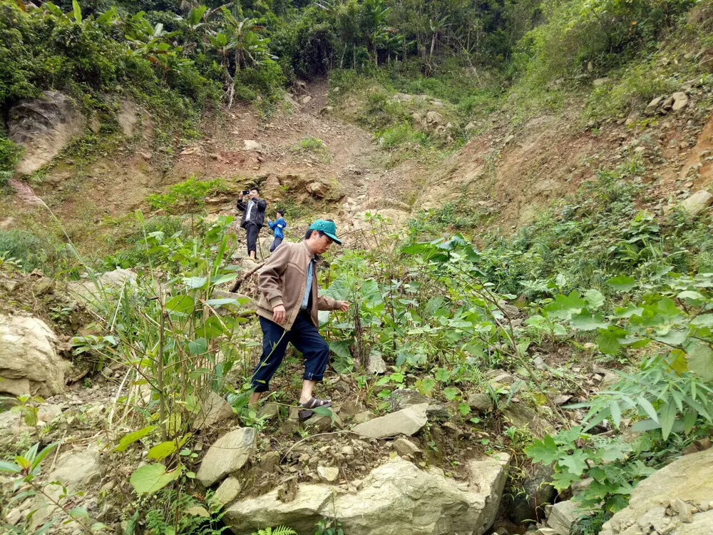 Núi nứt dài 100m, rộng 150m đe dọa trường học và nhà dân ảnh 1