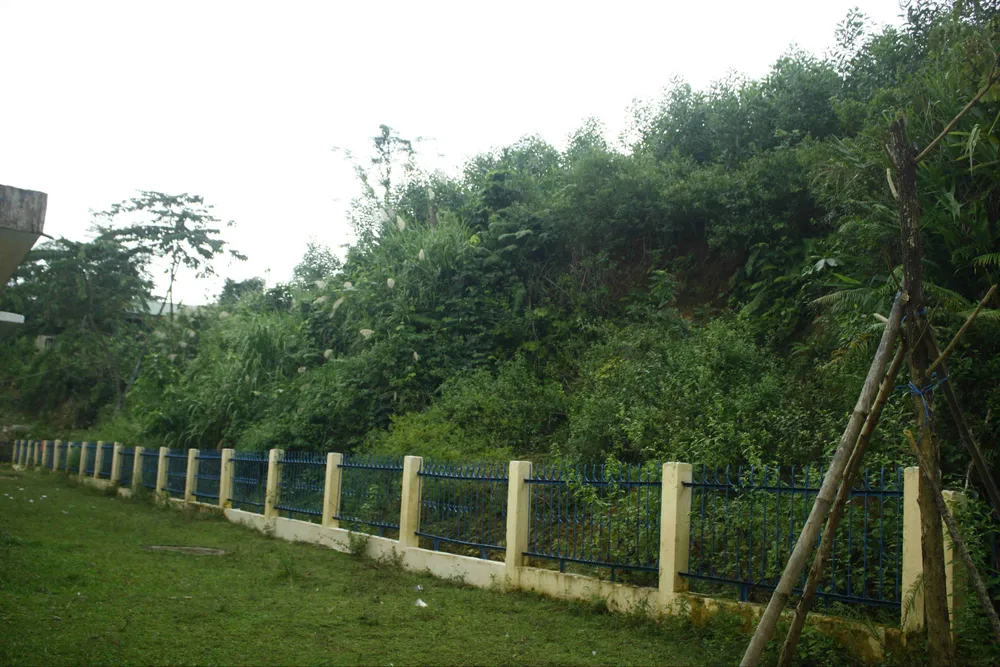 Núi nứt dài 100m, rộng 150m đe dọa trường học và nhà dân ảnh 4