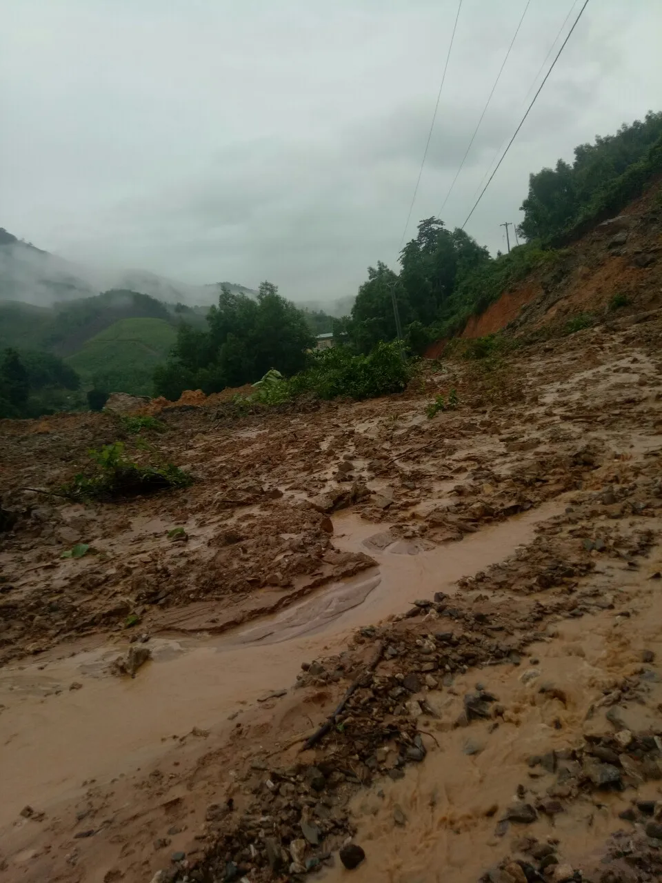 Sạt lở sông Vệ đe dọa hàng trăm hộ dân, nhiều nơi vùng núi bị cô lập ảnh 10