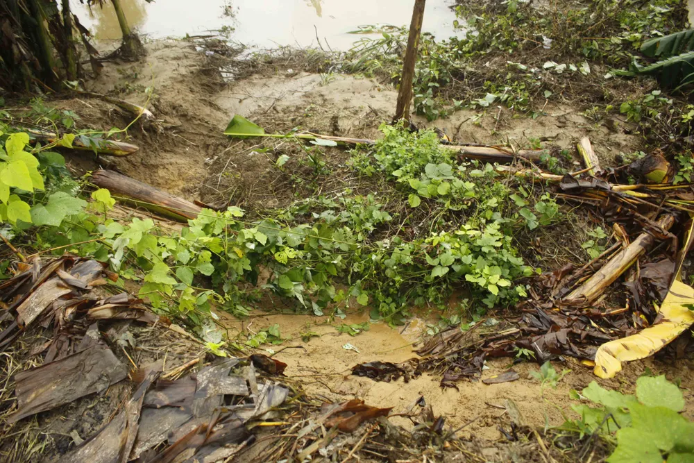 Sạt lở sông Vệ đe dọa hàng trăm hộ dân, nhiều nơi vùng núi bị cô lập ảnh 1