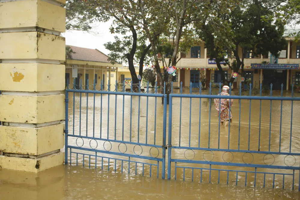 Quảng Ngãi: Mưa lớn làm thiệt hại nhiều diện tích rau màu, hơn 1.060 căn nhà bị ngập ảnh 2