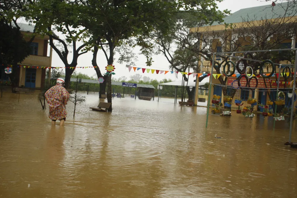 Quảng Ngãi: Mưa lớn làm thiệt hại nhiều diện tích rau màu, hơn 1.060 căn nhà bị ngập ảnh 1