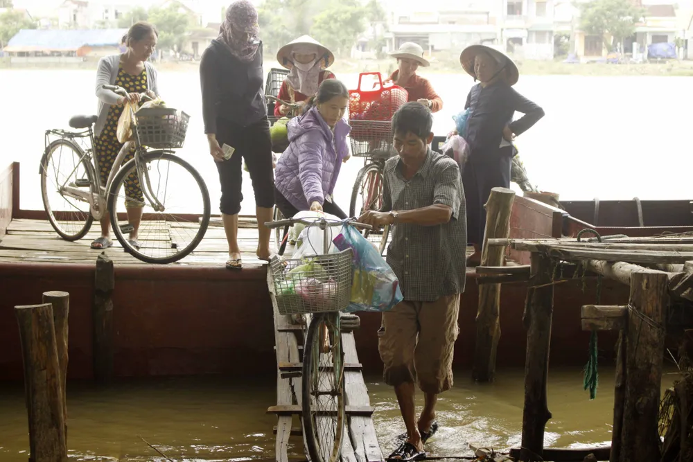 Quảng Ngãi: Người nuôi tôm trắng tay sau lũ ảnh 3