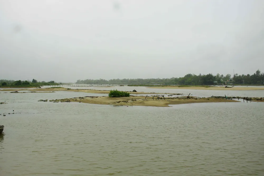 Quảng Ngãi: Không thể gieo sạ vụ mới vì đê sông sạt lở ảnh 3