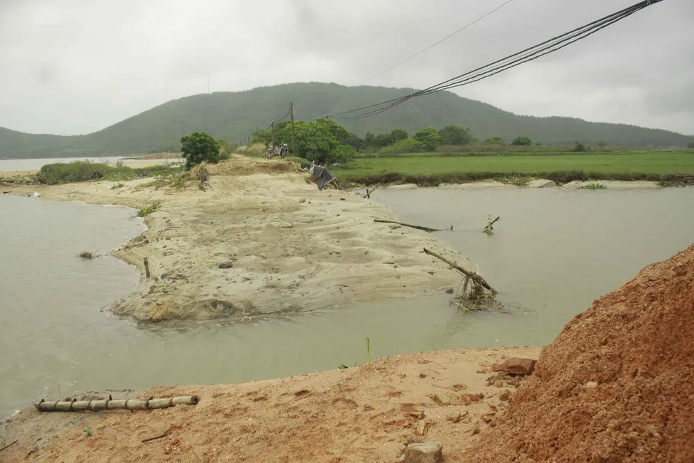 Quảng Ngãi: Không thể gieo sạ vụ mới vì đê sông sạt lở ảnh 1