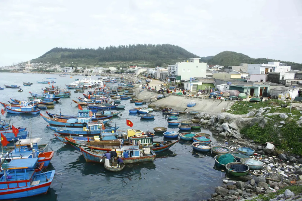 Quảng Ngãi đề xuất xây dựng mức thu phí tham quan đảo Lý Sơn ảnh 2