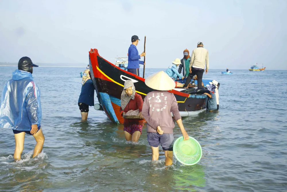 Ngư dân Quảng Ngãi trúng đậm “lộc ruốc” cuối năm ảnh 3