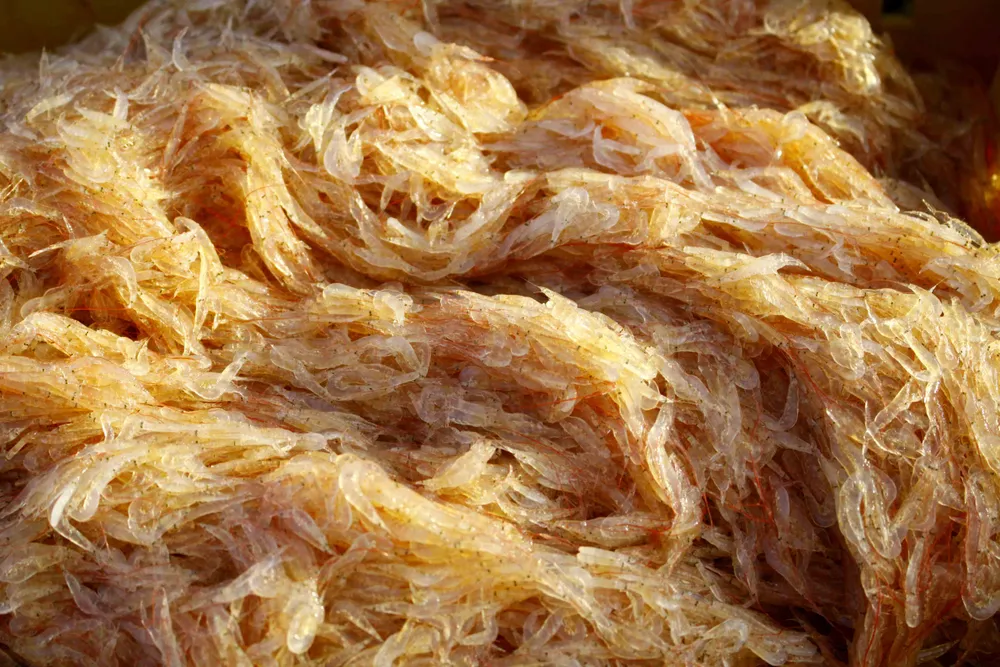 Ngư dân Quảng Ngãi trúng đậm “lộc ruốc” cuối năm ảnh 5